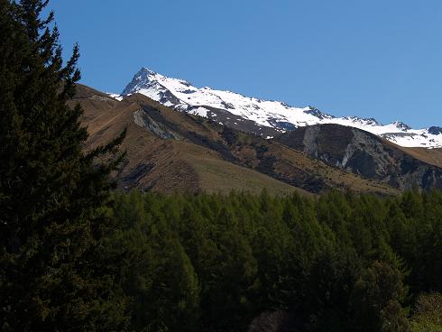 e0102937_1061364.jpg