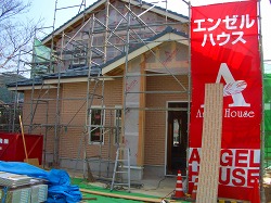 b0082242_1432612.jpg