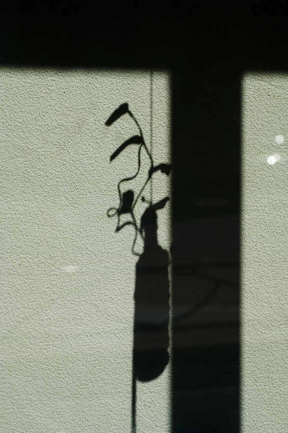 f0077849_632355.jpg