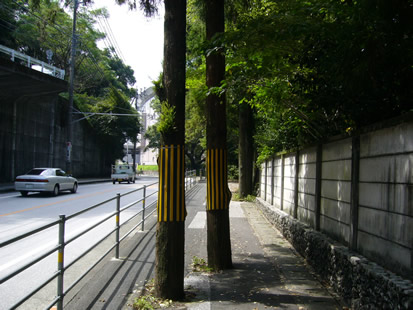 f0067354_21463138.jpg