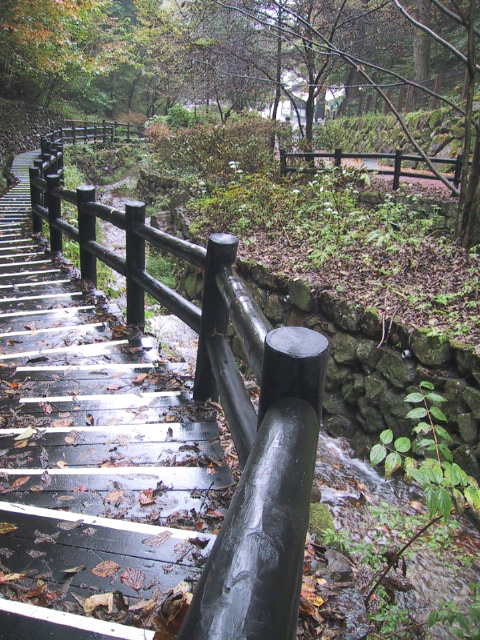 e0090956_21553149.jpg