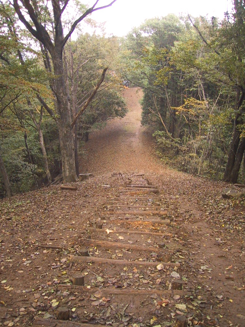 e0090956_21585792.jpg