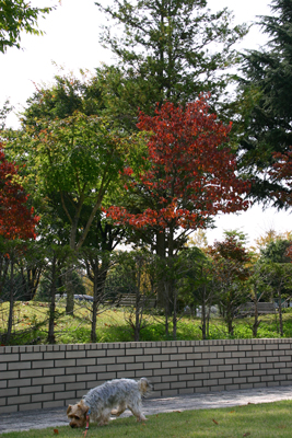 f0067361_16491718.jpg