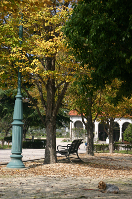 f0067361_16531941.jpg