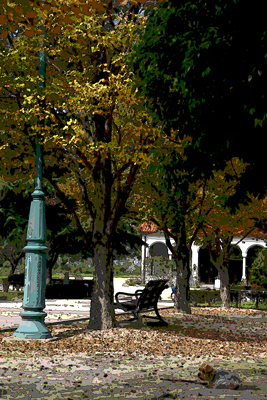 f0067361_16551349.jpg
