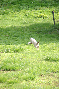 f0067361_16572664.jpg