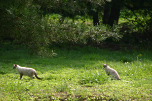 f0067361_16573645.jpg