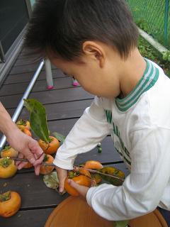 e0031568_1654342.jpg