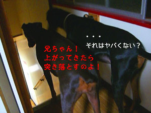 f0025769_191421.jpg