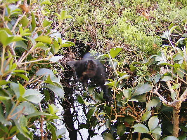b0078370_204027100.jpg