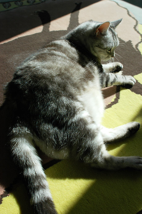 c0026870_1794149.jpg