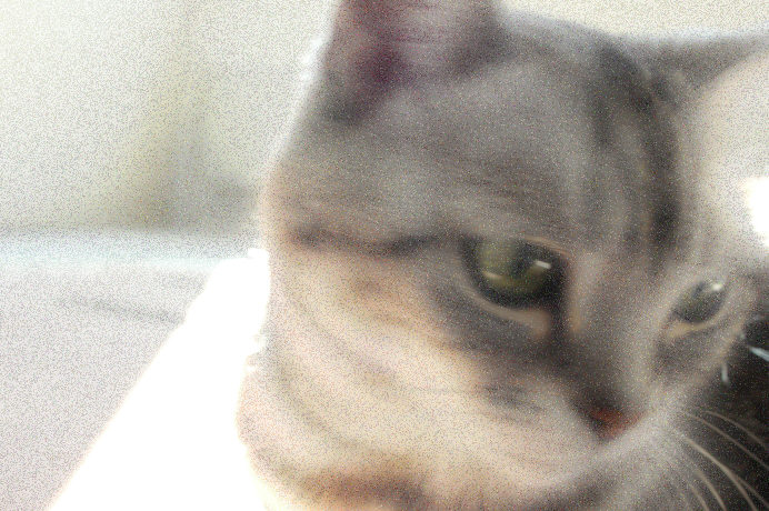 c0026870_1794649.jpg