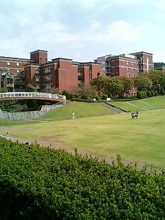 a0047575_22415432.jpg