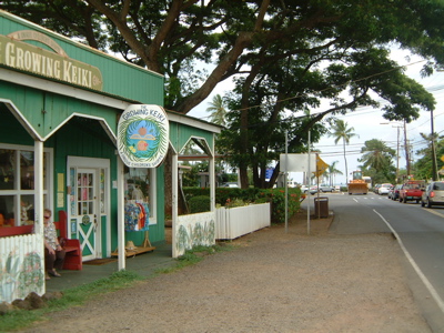 a0011999_21282757.jpg