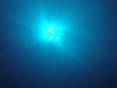 b0021101_15292164.jpg