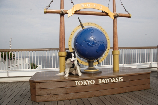 f0034602_1931458.jpg