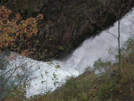 f0036603_19305594.jpg