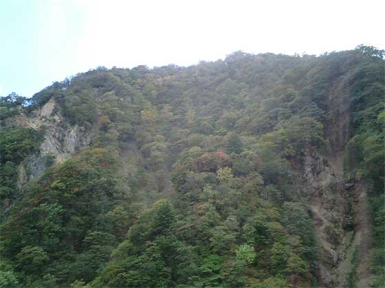 f0036603_19323288.jpg