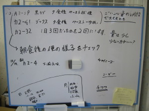 b0044804_1032282.jpg