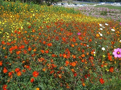 c0076204_1710512.jpg