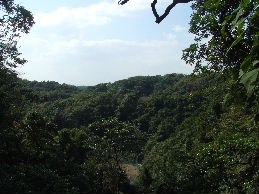 a0007906_17474020.jpg