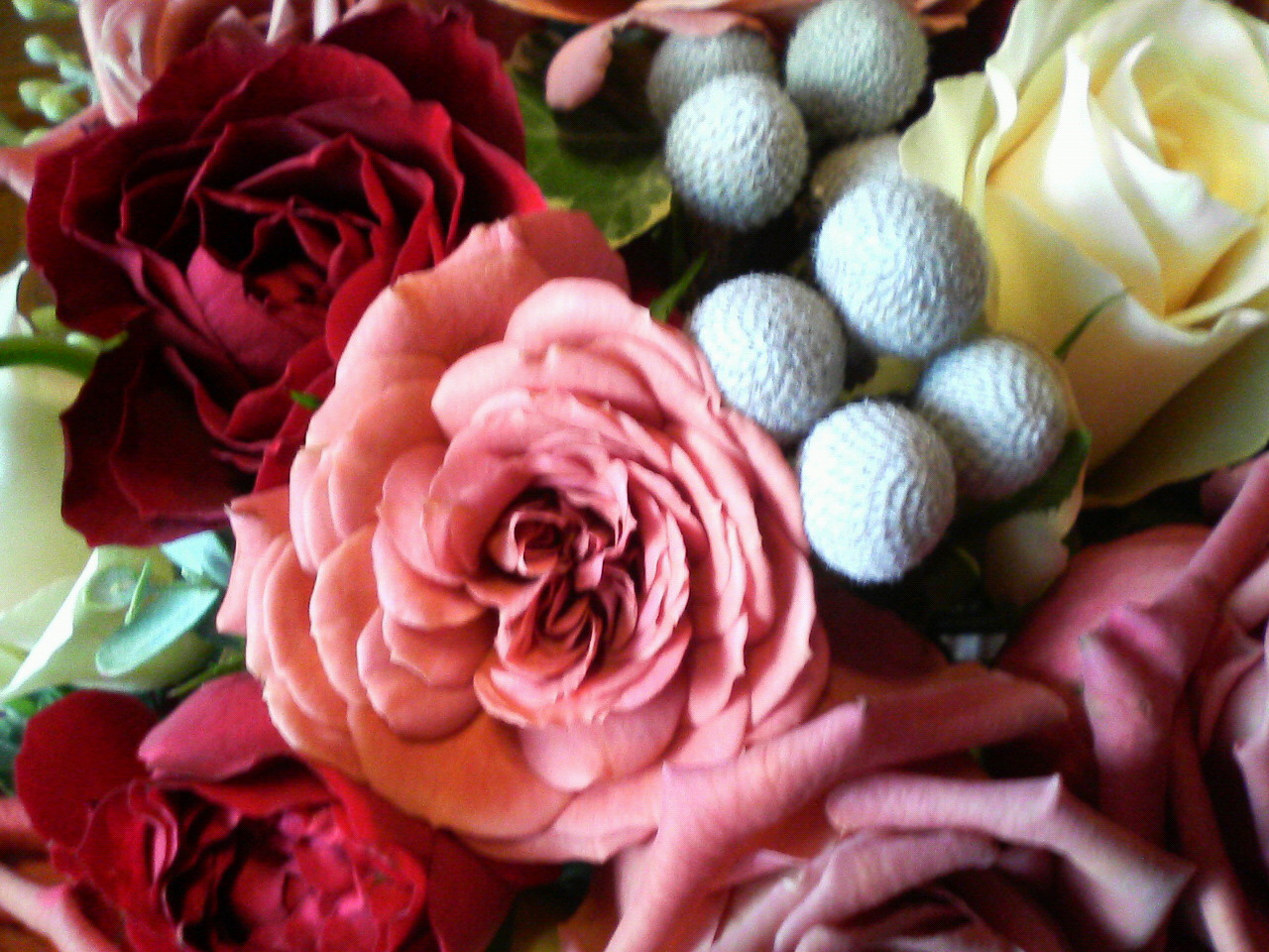 d0000607_234853.jpg