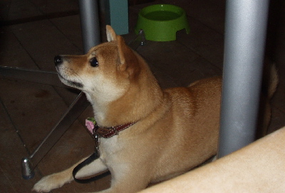 f0004309_21134242.jpg