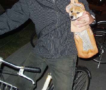 f0004309_217337.jpg