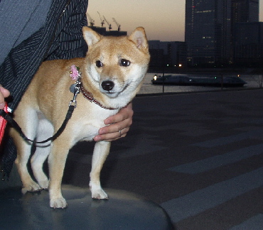 f0004309_2185183.jpg