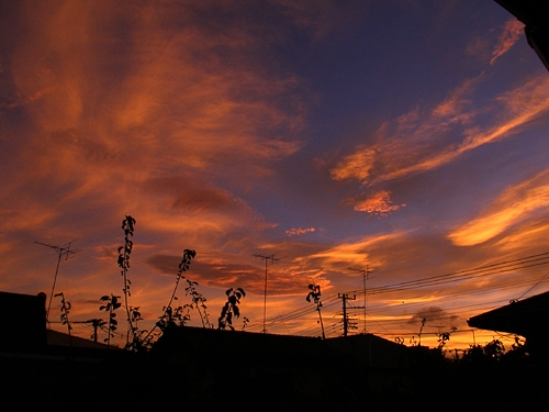 e0066210_1791561.jpg