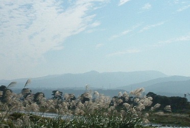 f0068511_21291999.jpg