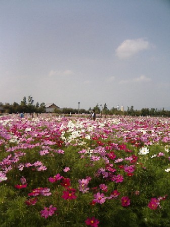 e0099212_10532450.jpg