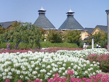 e0099212_10555212.jpg