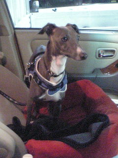 c0003217_1613878.jpg