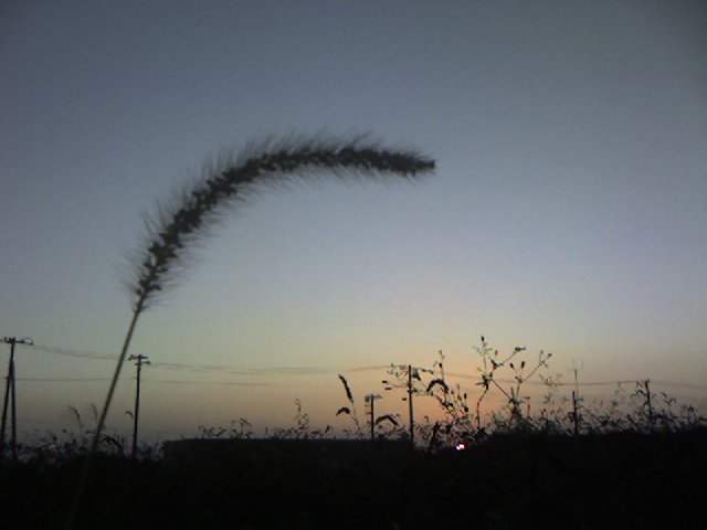 d0006718_22464322.jpg