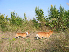 e0077528_16481494.jpg