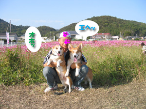 e0077528_16511362.jpg