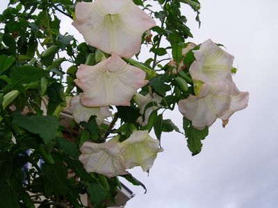 e0101828_2128835.jpg