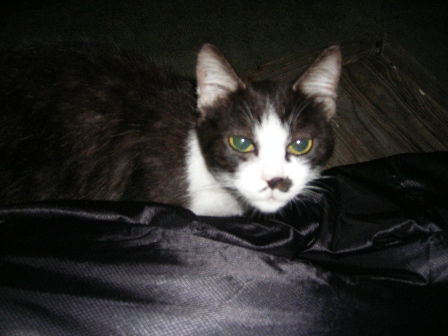 f0000330_1392683.jpg