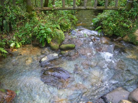 f0000330_14144732.jpg