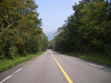 f0000330_142317.jpg