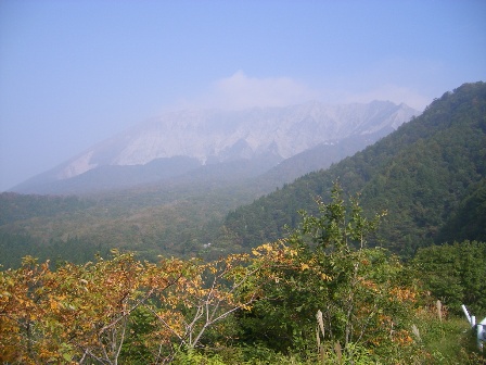 f0000330_1430960.jpg