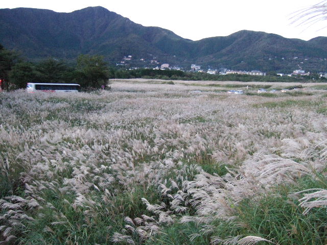 e0064133_2072668.jpg