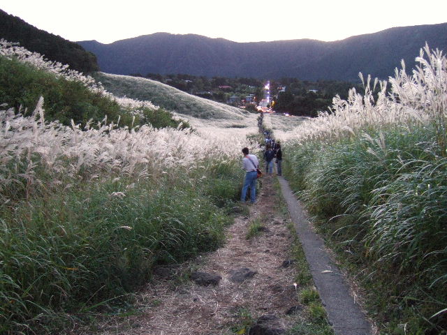 e0064133_2074319.jpg