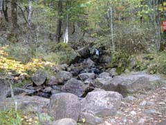 a0005436_15291858.jpg