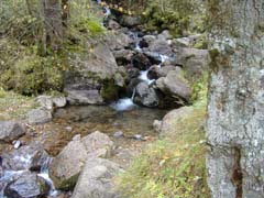 a0005436_1529366.jpg