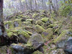 a0005436_15382447.jpg