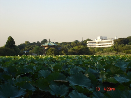 c0022340_18595164.jpg