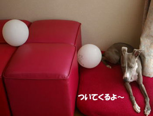 c0087047_207478.jpg