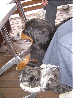 e0057248_11185939.jpg